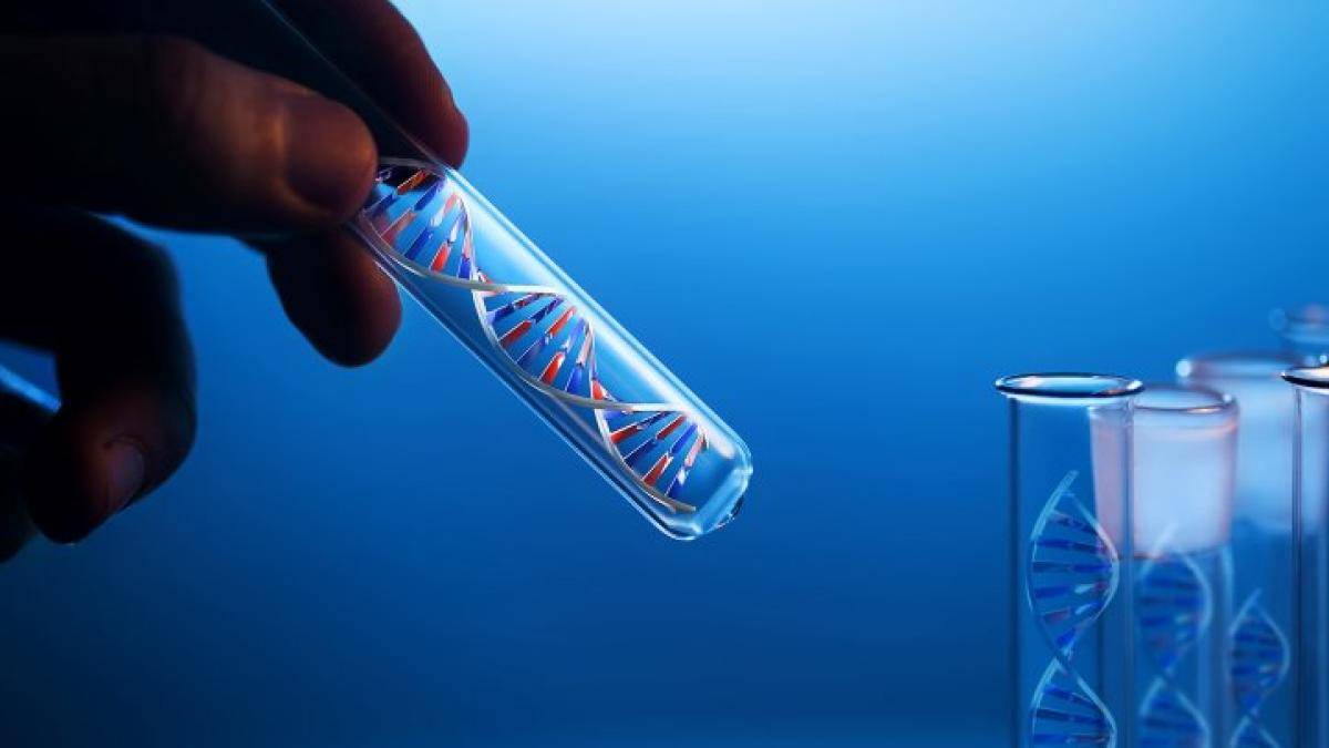 Biologic Drug Transportation