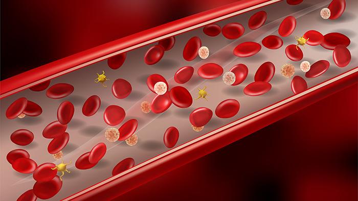 Illustration of red blood cells, white blood cells, and platelets in a blood vessel