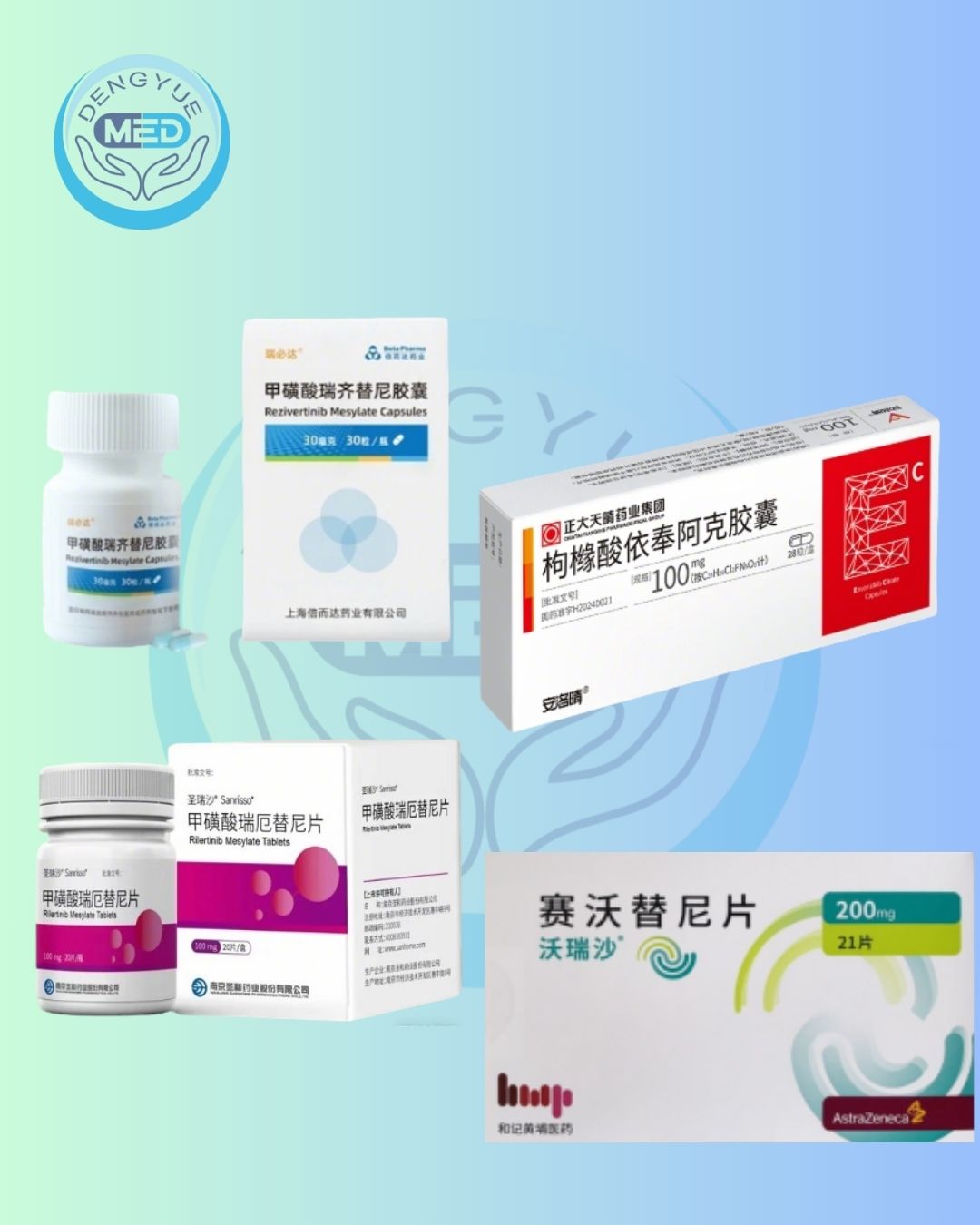Chinese lung cancer targeted drugs EGFR MET
