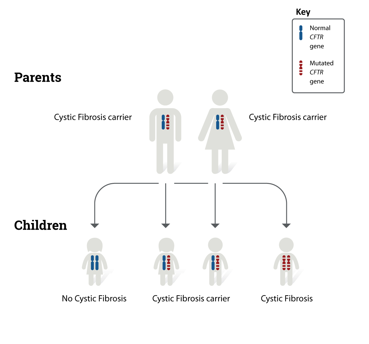 Inheritance pattern of cystic fibrosis