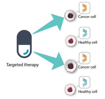 Targeted Therapy and Cancer Cells
