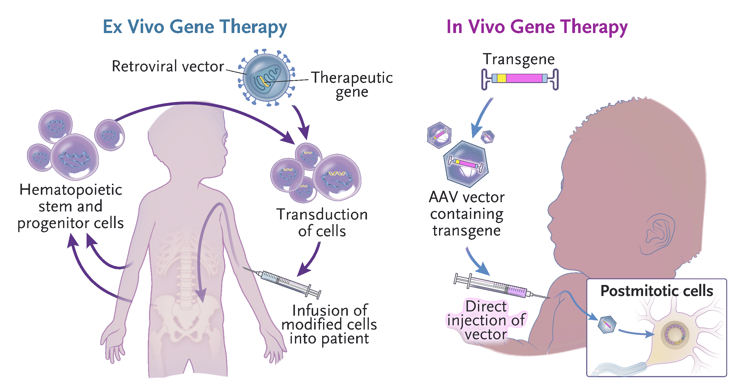 Latest Advances in Gene Therapy: From Genetic Disorders to Cancer Treatment