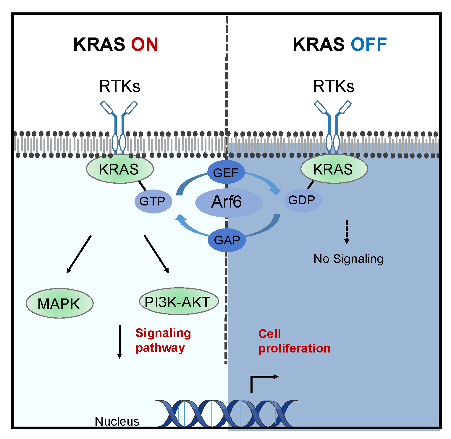 From Single-Target Inhibition to Network-Level Intervention: A Paradigm Shift in KRAS-Mutant Cancer Therapy