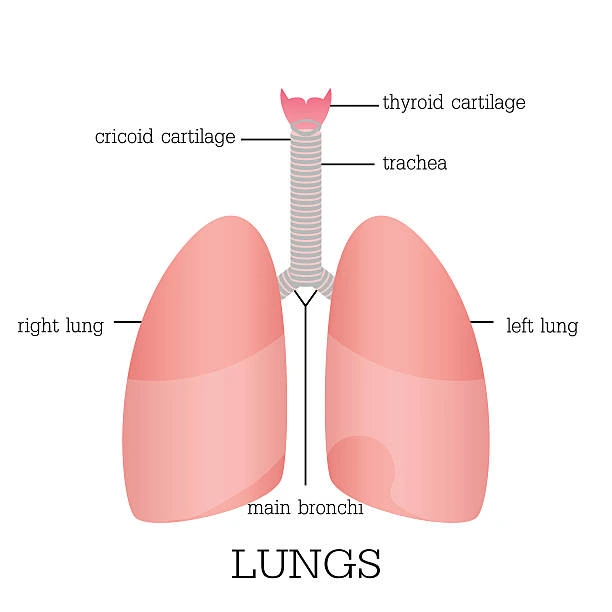 Complete Guide for Early Cancer Screening｜A Review of Screening Methods for 6 Common Cancers