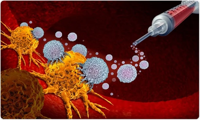 Pancreatic cancer immunotherapy and immune checkpoint inhibition