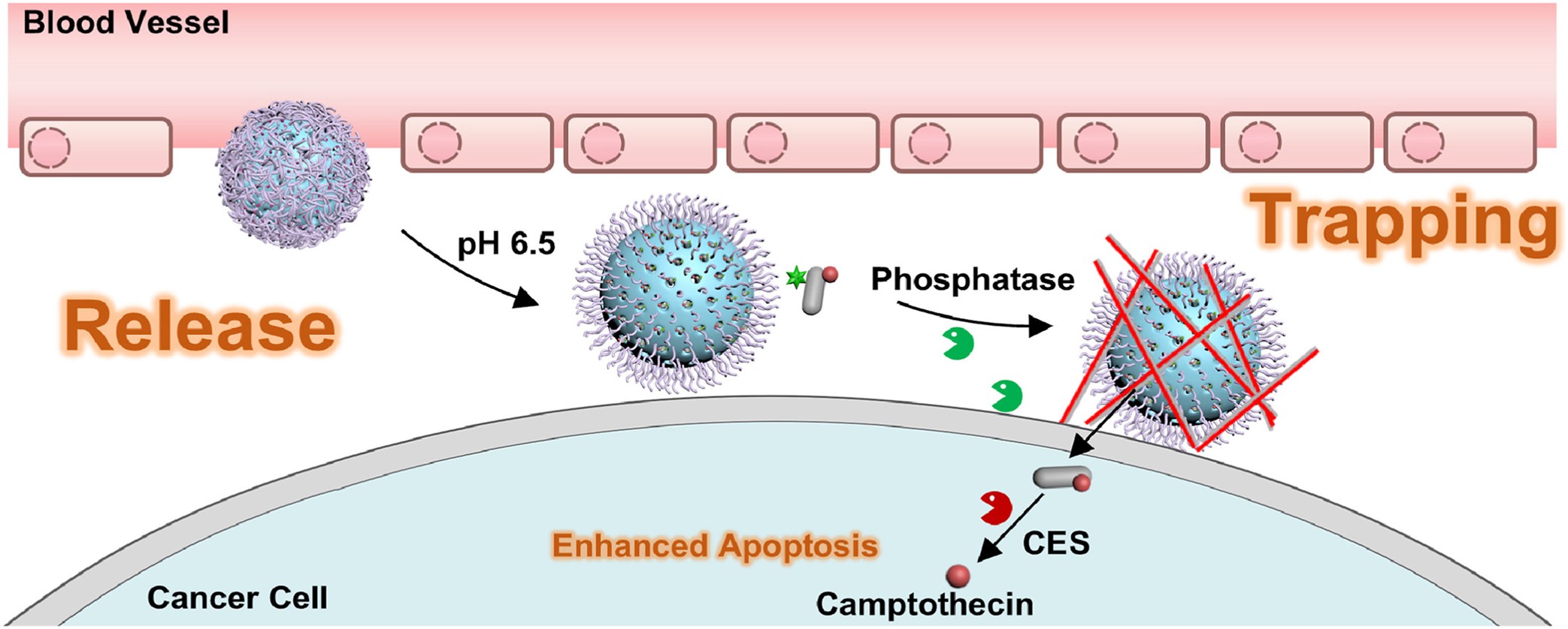 From the Chemotherapy Era to the Precision Medicine Era: What Has Changed in Medical Logic?
